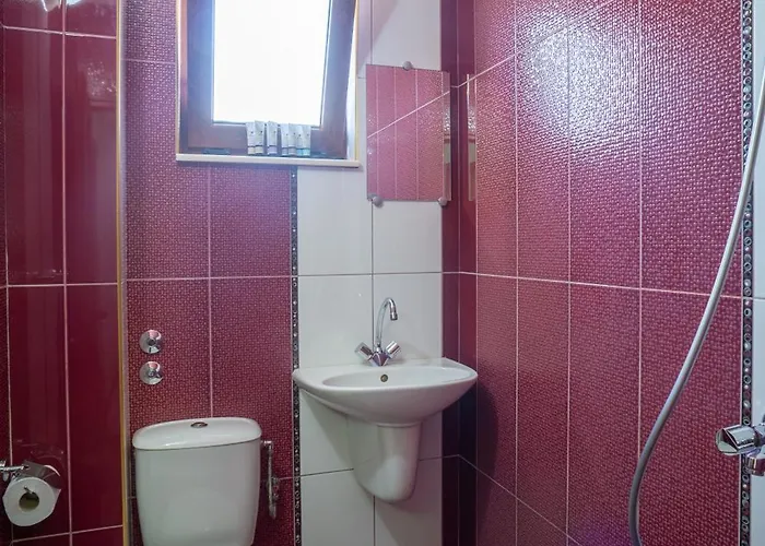 Karamihalevi 索佐波尔