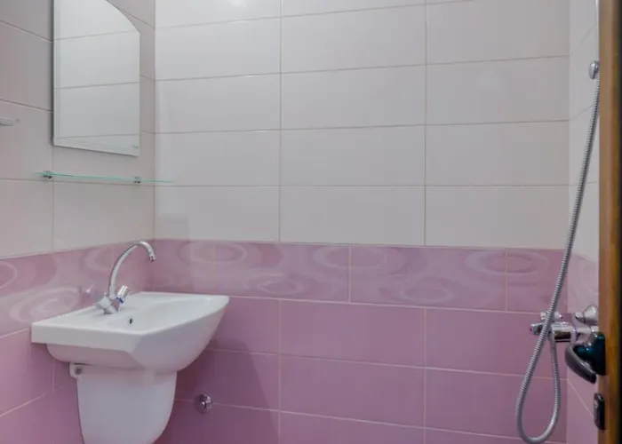 招待所 Karamihalevi