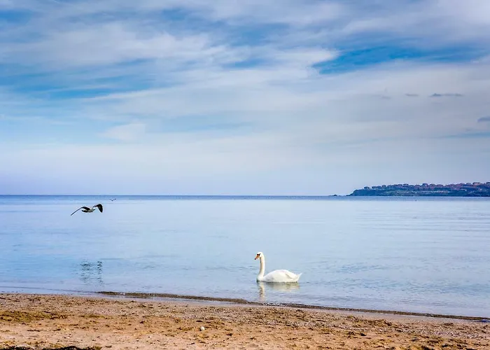 Karamihalevi 招待所 索佐波尔
