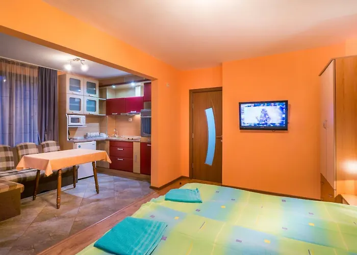 Karamihalevi 招待所